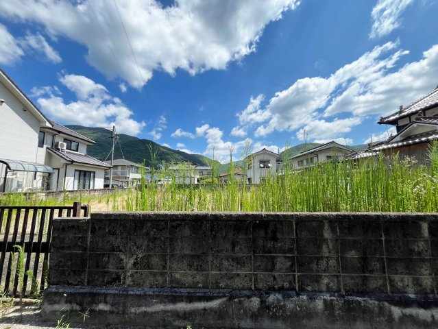 【現地写真】　2026年7月に撮影しました