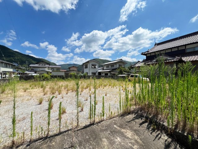 【現地写真】　2026年7月に撮影しました
