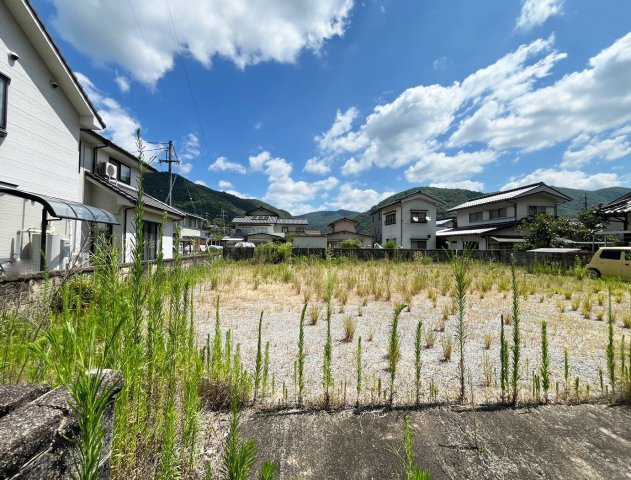 【現地写真】　2026年7月に撮影しました