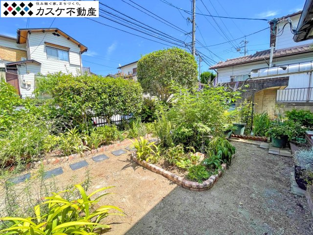 庭