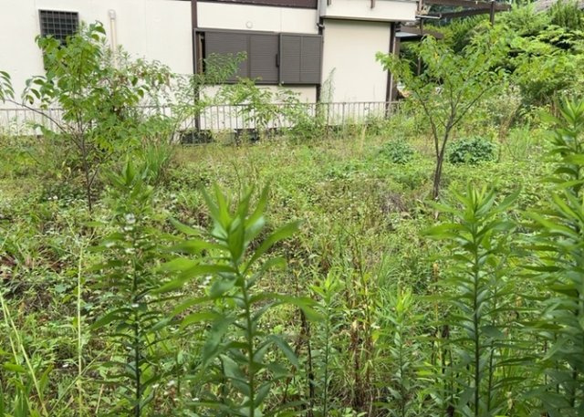土地探しをしていると都市計画区域という言葉を目にすると思います。法律によって、都道府県知事や国土交通大臣が指定するエリアのことを指しており、都市計画区域は市街化区域と市街化調整区域に分けられています。