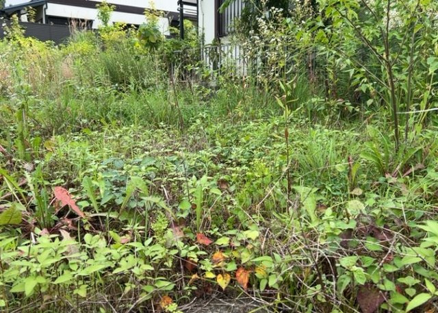 隣家の土地はどうなっているのか、生活利便施設が近くにあるのか、学校まで近いかなど、お客様のライフスタイルにあわせたイメージが重要です。また、近くにあると困る施設が近くにないかも確認するといいでしょう。