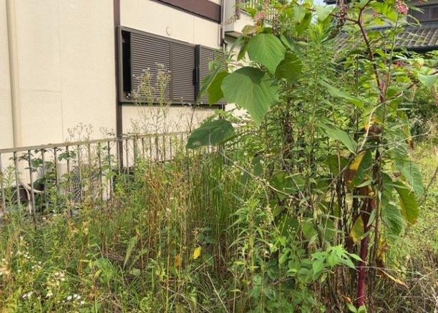 家を建てる前提で土地を探している場合、地盤の丈夫さは譲れない条件の一つです。地盤が脆弱だと追加工事が必要となります。また、過去に地盤沈下や液状化現象を起こした土地は、できるだけ避けた方がいいでしょう。