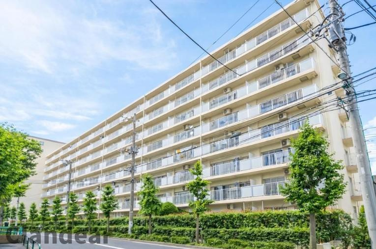 外観：313004667279