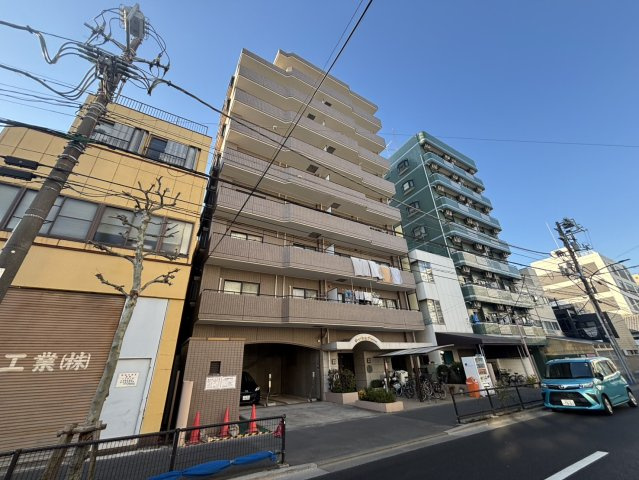 外観：313004575398