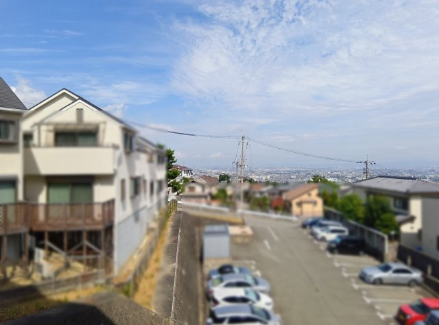 展望