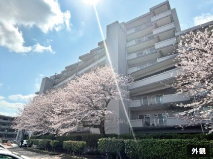 外観：311002372626