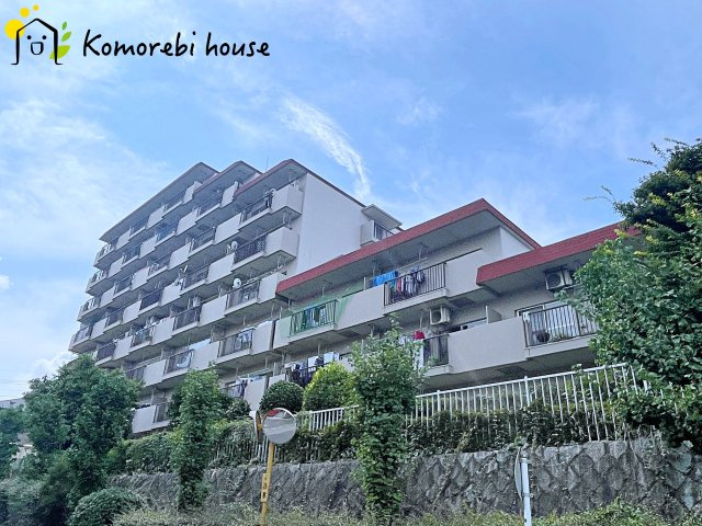 26.8.22　撮影済み