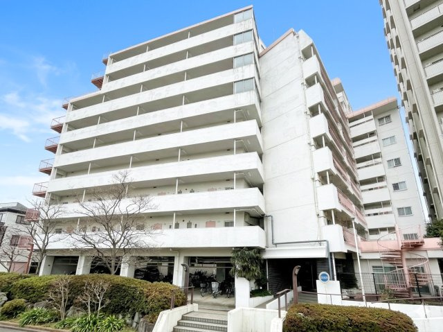 外観：313004667278