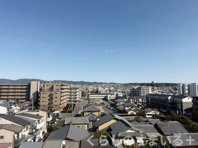 展望