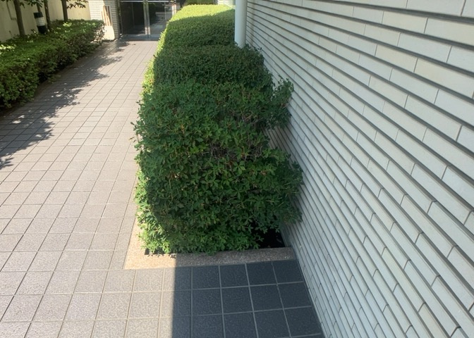 八王子市並木町の豊かな自然環境に馴染む敷地周りの緑スペースです。周辺は落ち着いた住宅街が広がっており、緑を感じながらゆったりと暮らせる住環境です。リノベーションで新しく生まれ変わる住居も魅力的です。