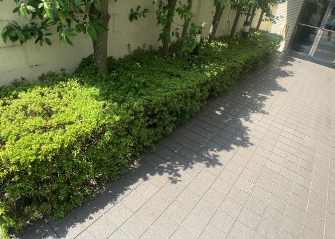 敷地内の共用スペースは管理体制が行き届いており、日々の清掃や整頓が徹底されています。緑を感じられる憩いの空間となっており、住まう方が気持ちよく利用できるように維持管理されている安心の住居です。