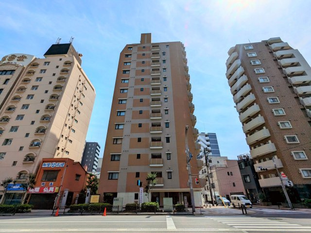 外観：313004776103