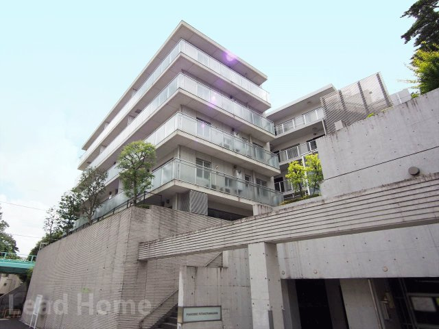 外観：313004672579