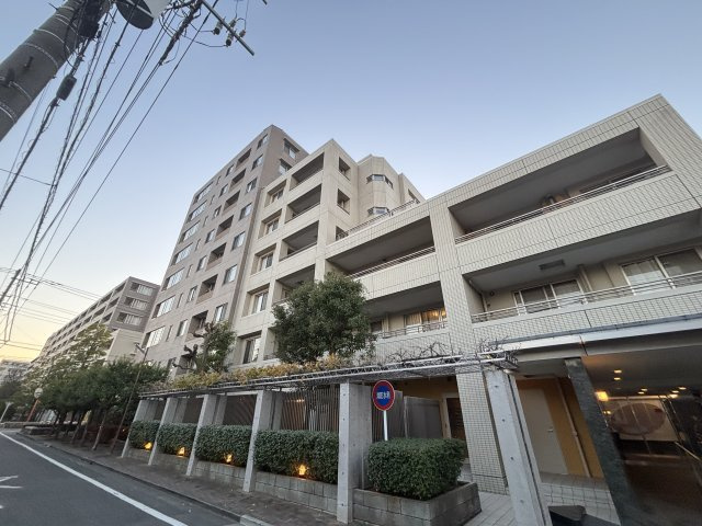 外観：311002318303