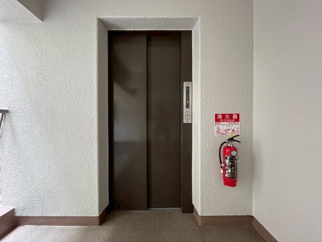 スイッチコンセントや照明器具も交換されています。