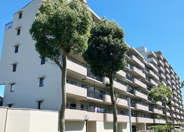 外観：314002672336