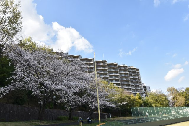 春には桜が周囲を彩ります。季節によって変わる景色を楽しめます。