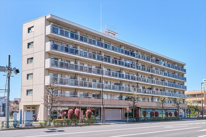 外観：313004619661