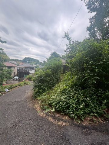 隠れ家の様な入口。門。