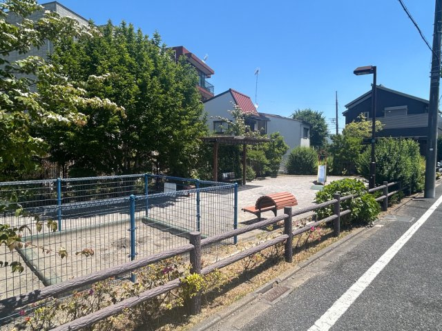 庭