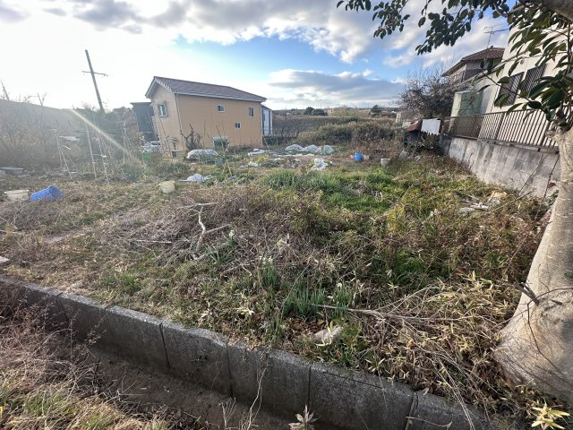 外観：327002168044