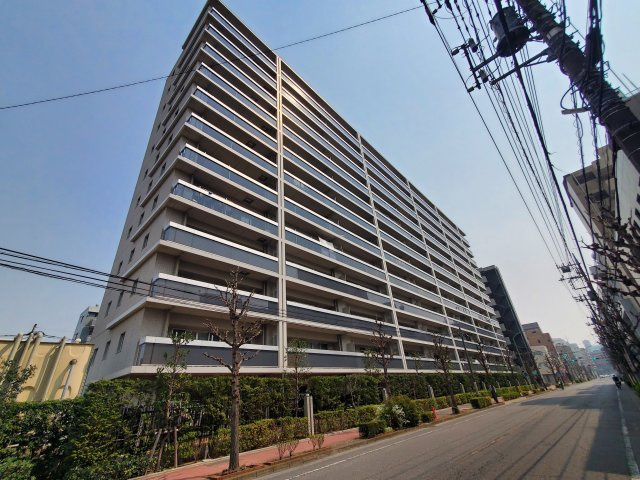 外観：311002319946