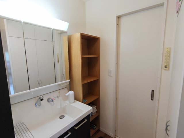 三面鏡にハンドシャワー付き。使いやすい洗面台です