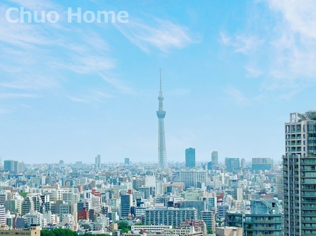 手を伸ばせば、ふれることが出来そうな環境が、そのままインテリアになったような印象です。その豊かな眺望にふさわしい空間には、通風・採光にも優れ、心地よい光と風があふれています