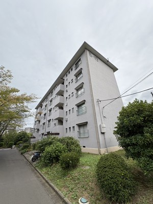 外観：314002490899