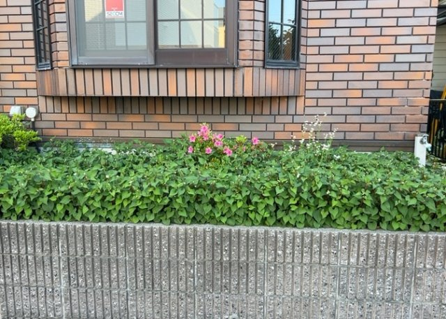 庭があることでガーデニングや家庭菜園はもちろん、こどもの遊び場やペットを放して遊ぶことができます。また、家の周囲に余裕があるということです。隣地との間があれば、十分な日当たりと、風通しが確保できます。