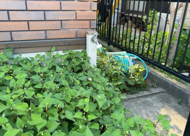 敷地内に散水栓や立水栓があると便利です。水道水を直接利用できるため、水を運ぶ手間を省くことが出来ます。大量の水を必要とする洗車作業や清掃などに役立ちます。その他設備とあわせて、現地でご確認ください。