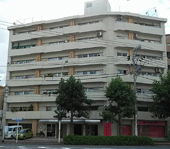 外観：334000238298