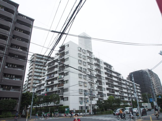 外観：313004782988