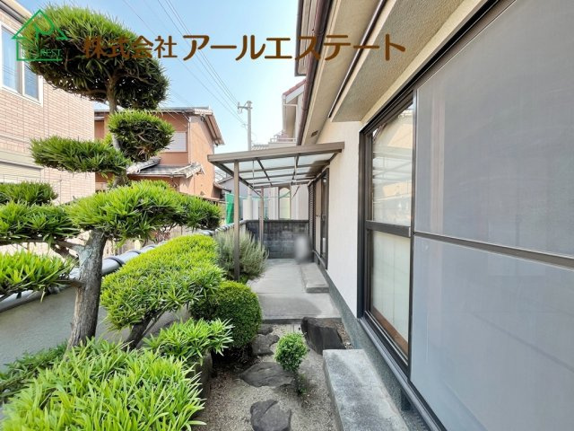 庭