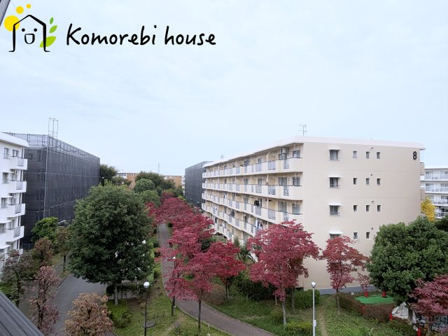 自然を感じれるきれいな展望です