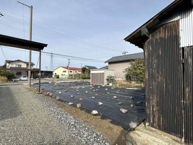 現地写真