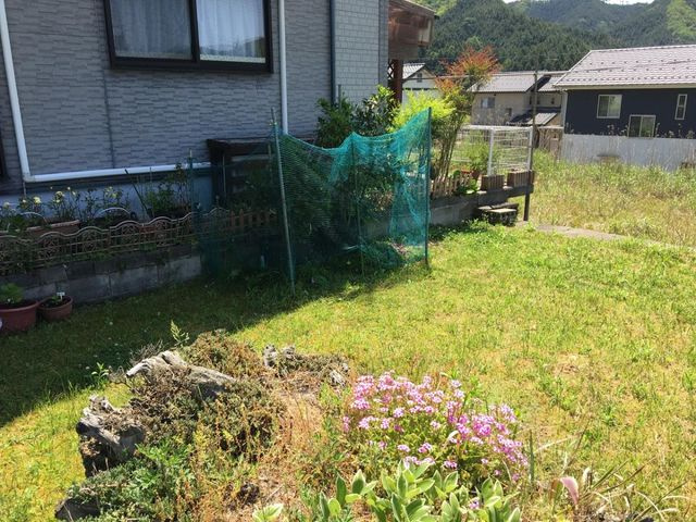 敷地中央からの景色