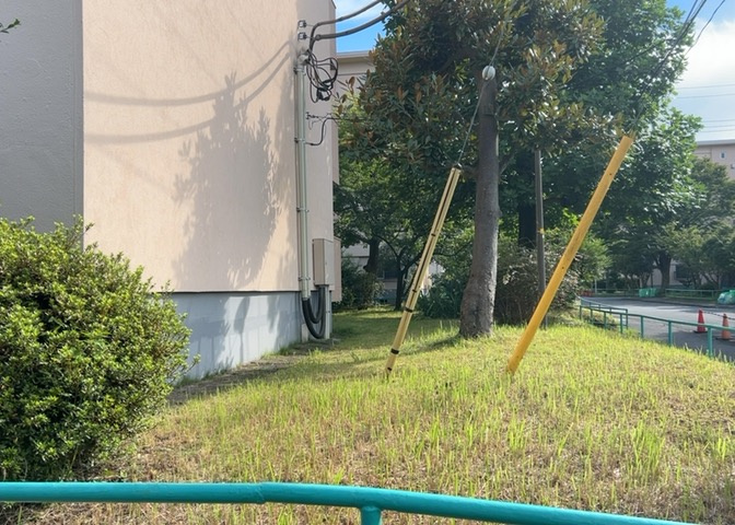 物件によっては、入居者が個人的に使用できる専用庭がついているものもあります。また、住宅の中にある土間の部分を庭と呼ぶこともあります。庭の用途は住む人によって変わり、それによってデザインもさまざまです。
