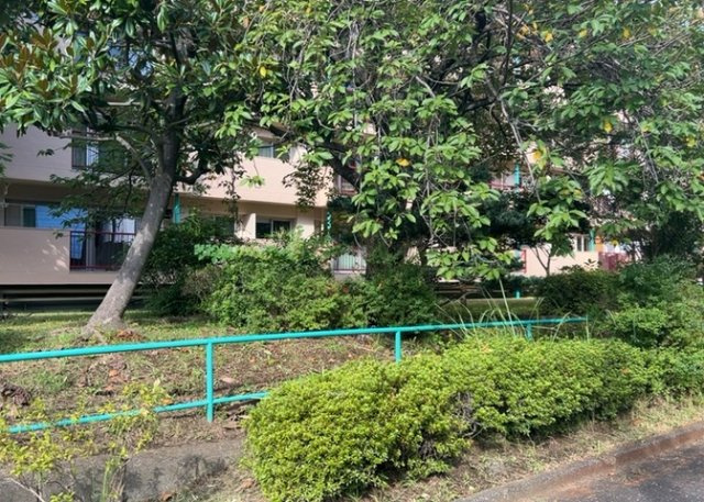 中庭（パティオ）とは、一つの建築物の内部に設けられた、壁などで囲われている庭のことを指します。コの字型、ロの字型が主流ですが、L字型の中庭もあります。最近では、インテリア性の高さからも人気があります。