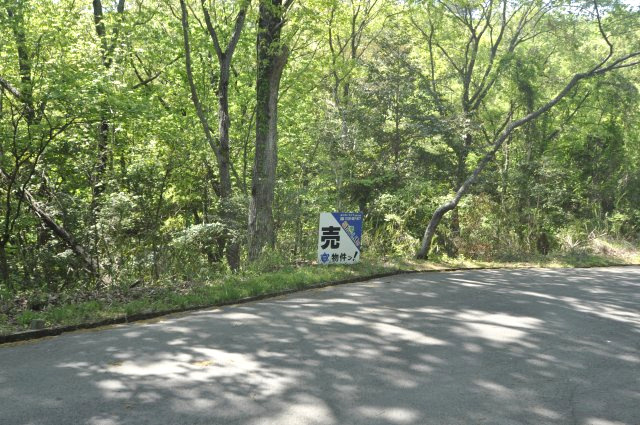 外観：328000624648