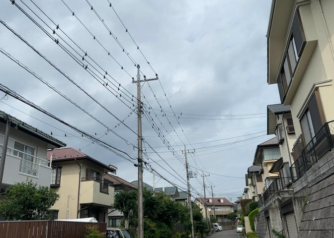桜や紅葉の名所に出かける人は多いと思いますが、家にいながら季節の移ろいを感じる生活を送りませんか？リビングや窓から見える景色が生活を彩るワンポイントに！現地から見える景色を堪能してみては如何でしょう。