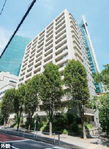 外観：313004484809