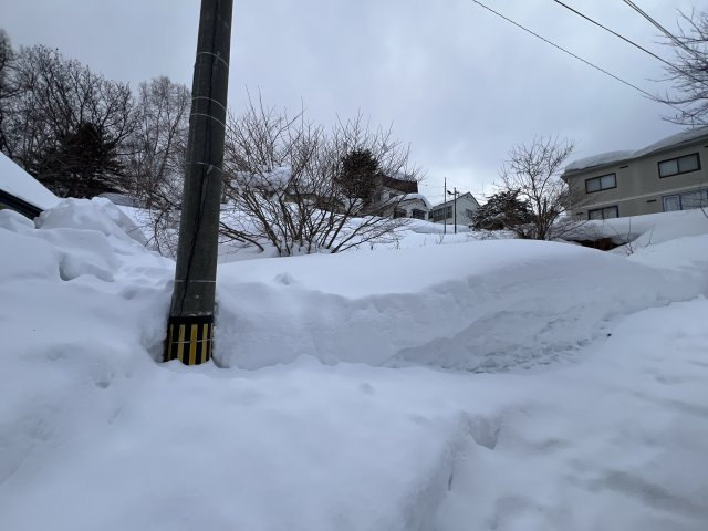 外観：301000102852