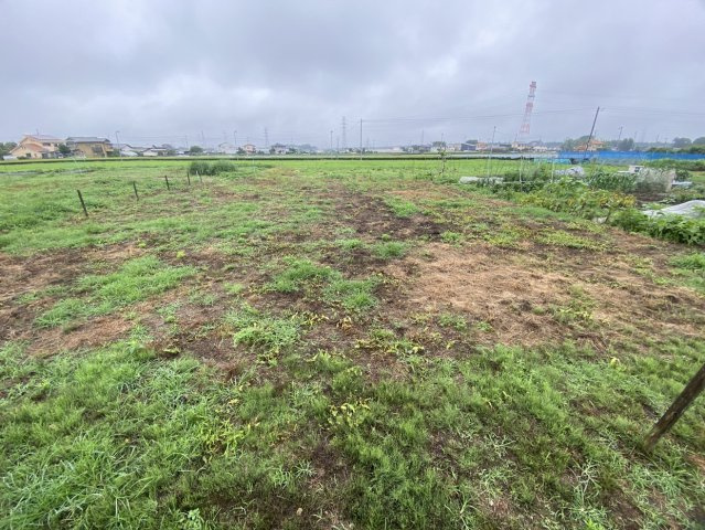 外観：311002251460