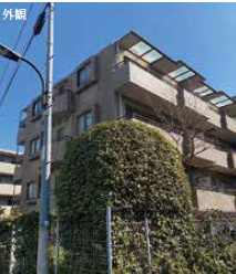 外観：313004618381