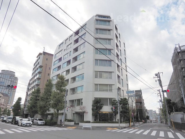 外観：313004684445