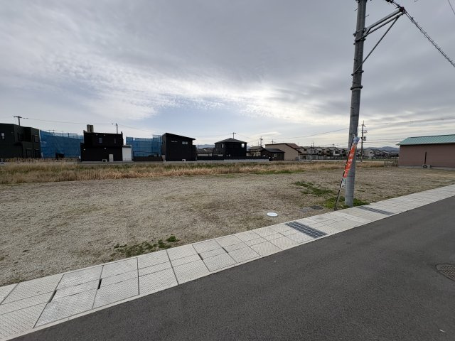 8号地
