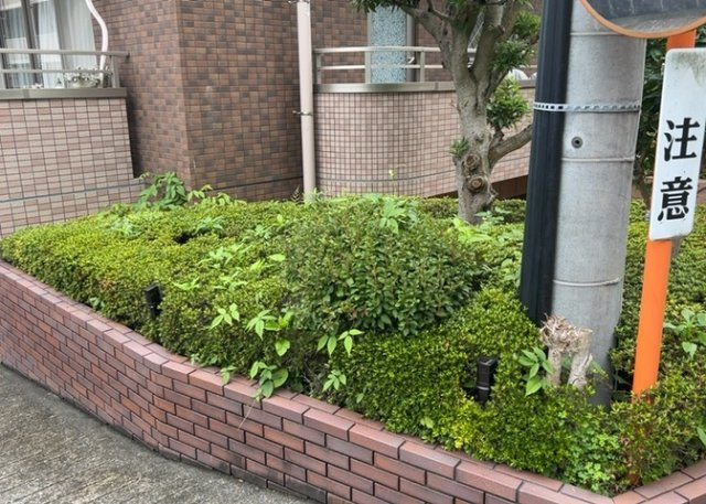 物件によっては、入居者が個人的に使用できる専用庭がついているものもあります。また、住宅の中にある土間の部分を庭と呼ぶこともあります。庭の用途は住む人によって変わり、それによってデザインもさまざまです。