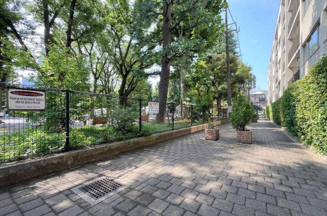 1階住戸の目の前には白銀公園が広がります。ペットとの散歩や、お子様との外遊びを気軽に楽しめそうです。